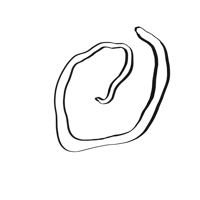 a black and white drawing of a circle on a black background